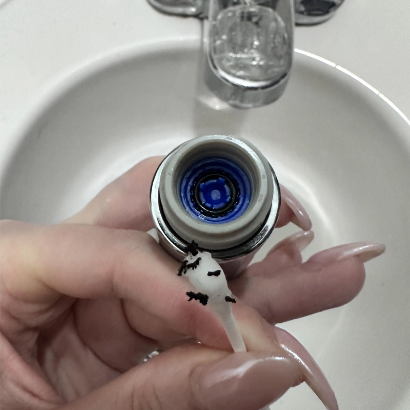 What Is The Black Gunk On My Shower Head