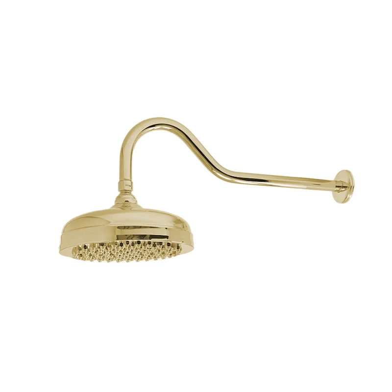 gold hand held shower head