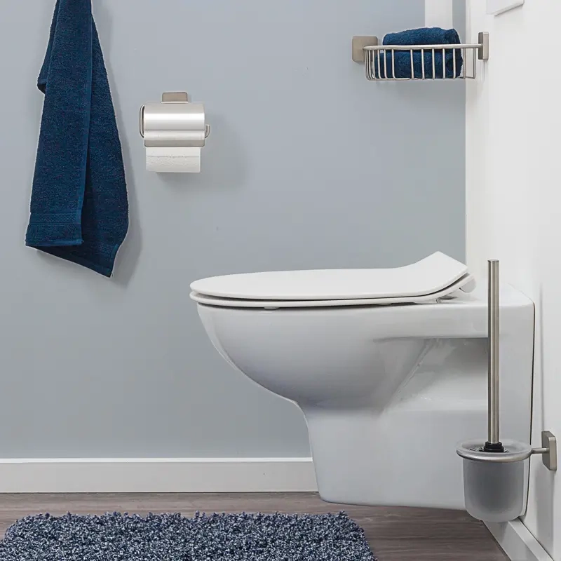 raised toilet seat