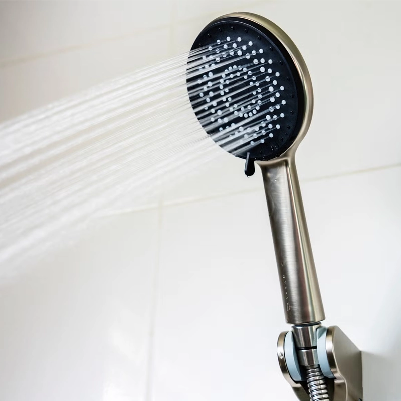 shower head with handle