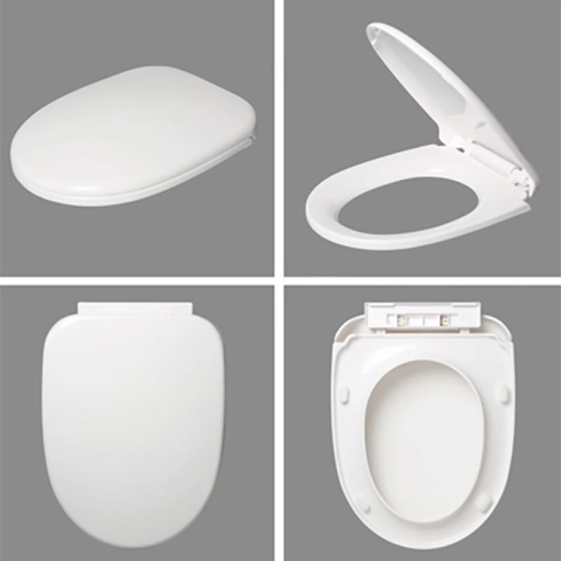 toilet lift