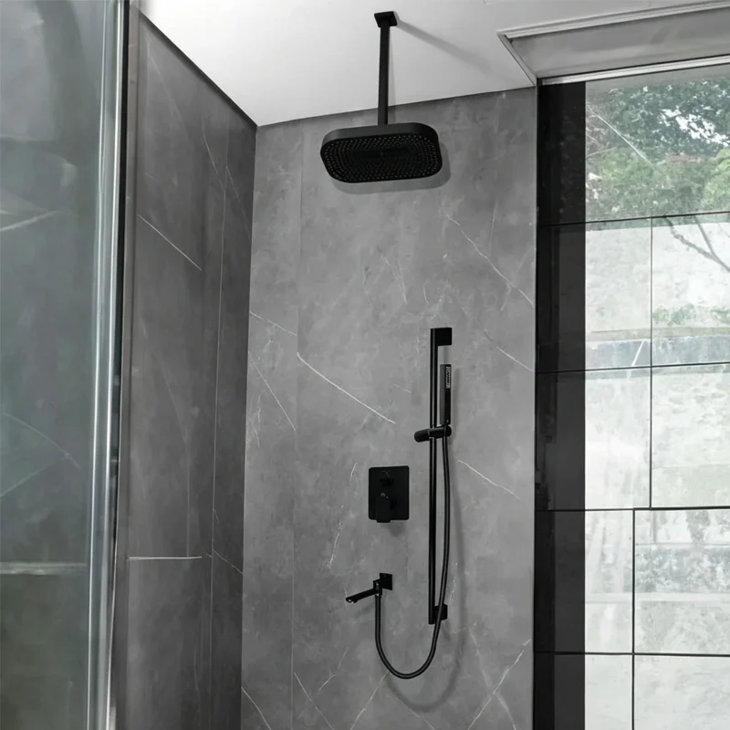 hand held shower holder